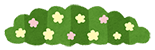 草木