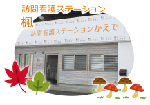 楓